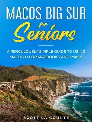 cover image of MacOS Big Sur For Seniors